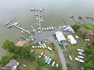 A rare opportunity to acquire one of Northern Virginia's premier - photo 6