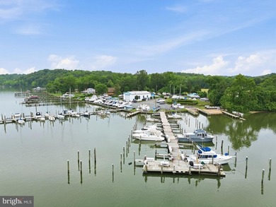 A rare opportunity to acquire one of Northern Virginia's premier - photo 9