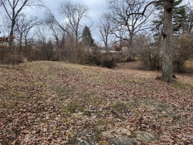 Lake St. Clair Lot For Sale in Saint Clair Missouri