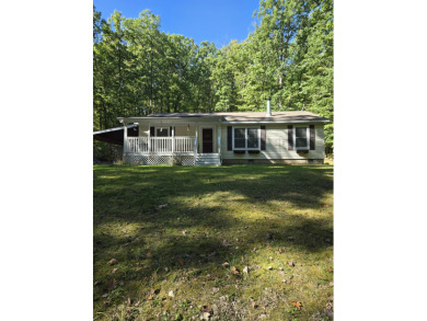 Lake Home For Sale in Farwell, Michigan