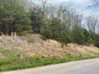 Lake Lot Off Market in New Tazewell, Tennessee
