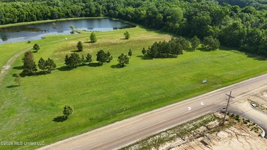 This offering is incredibly located on a primary arterial road - photo 6