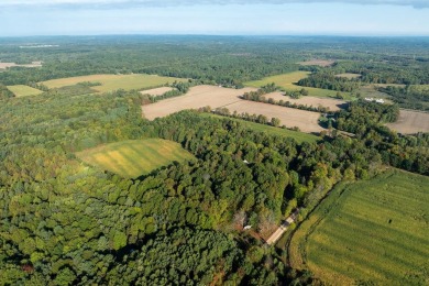 Lake Acreage For Sale in Hesperia, Michigan