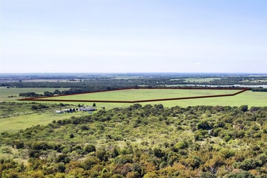 Discover a prime 99+ acre development opportunity in Tioga Texas - photo 5