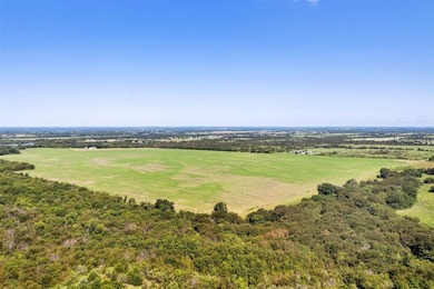 Discover a prime 99+ acre development opportunity in Tioga Texas - photo 6