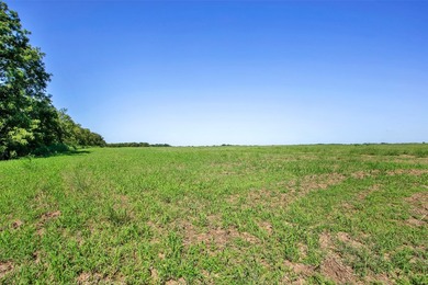 Discover a prime 99+ acre development opportunity in Tioga Texas - photo 9