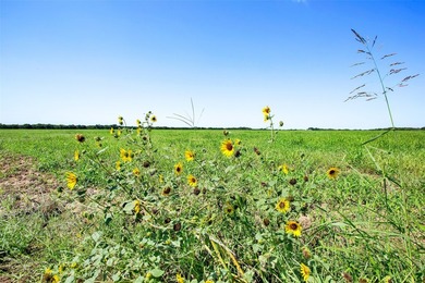 Discover a prime 99+ acre development opportunity in Tioga Texas - photo 10