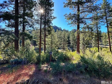 Lake Tahoe - Douglas County Lot For Sale in Carson City Nevada