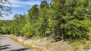 This beautiful corner lot offers nearly one acre of space in the - photo 8