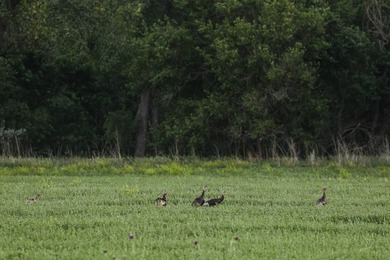 Located just minutes from Kearney, Nebraska, along the renowned - photo 12