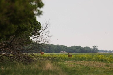 Located just minutes from Kearney, Nebraska, along the renowned - photo 14