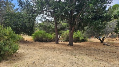 11103 Wheeler Dr - photo 25
