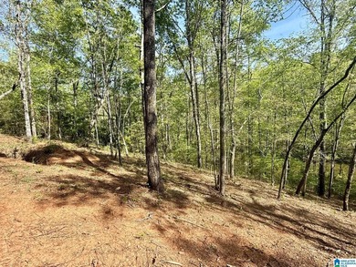 Affordable lot in Woodgate Shores Subdivision! This property is - photo 2