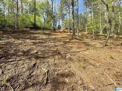 Affordable lot in Woodgate Shores Subdivision! This property is - photo 3