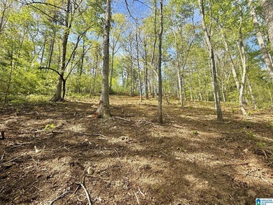 Affordable lot in Woodgate Shores Subdivision! This property is - photo 4