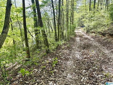 Affordable lot in Woodgate Shores Subdivision! This property is - photo 5