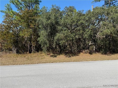 Premium Building Lot in Sugarmill Woods - Cypress Village - photo 1