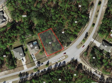 Premium Building Lot in Sugarmill Woods - Cypress Village - photo 5