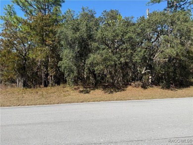 Premium Building Lot in Sugarmill Woods - Cypress Village - photo 6