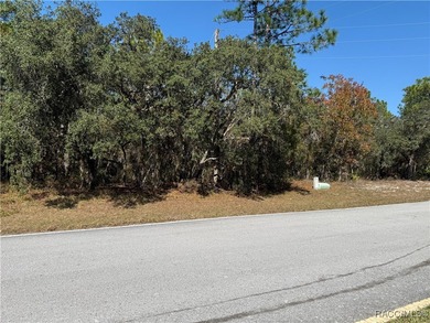 Premium Building Lot in Sugarmill Woods - Cypress Village - photo 7