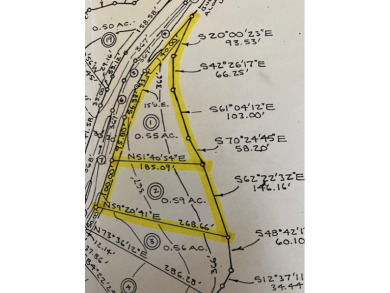 Lot #1, Lot #2 or both lots. 455 feet of water frontage total. - photo 6