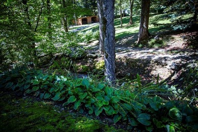 This perfectly located 46.47 country estate with approximately - photo 37