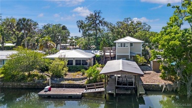 (private lake, pond, creek) Home For Sale in Crystal River Florida