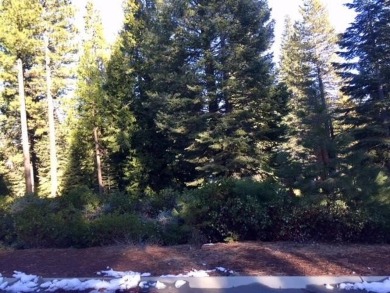 Lake Lot For Sale in Lake Almanor, California