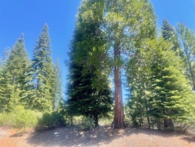 Lake Lot For Sale in Lake Almanor, California