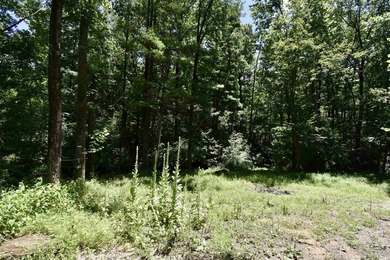 Pine Lake Development Home for Sale | Pike County, Indiana Lake - photo 11