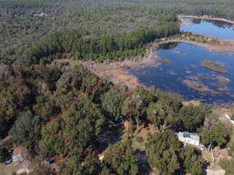 Nicotoon Lake Home For Sale in Umatilla Florida