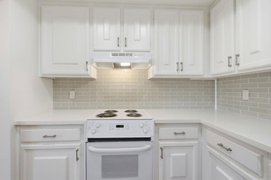 Welcome to resort style living in this beautifully updated 2 - photo 10