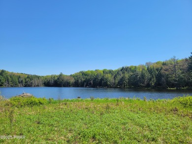 NORTHERN WAYNE COUNTY - 53 ACRE RETREAT - POND - Choice 53 acre - photo 3