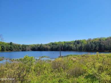 NORTHERN WAYNE COUNTY - 53 ACRE RETREAT - POND - Choice 53 acre - photo 8