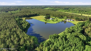 Welcome to Rose Hill Plantation, an extraordinary 388 surveyed - photo 3