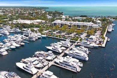 D27 is a premier Dockominium located in the world class Marina - photo 11