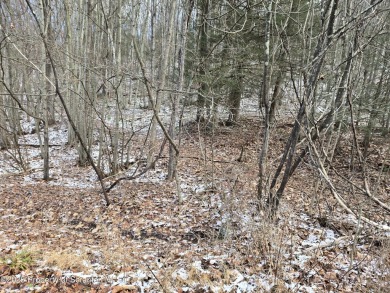 Saddle Lake Lot For Sale in Tunkhannock Pennsylvania