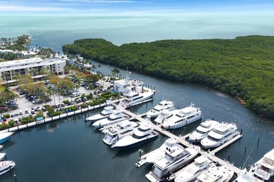 D27 is a premier Dockominium located in the world class Marina - photo 12