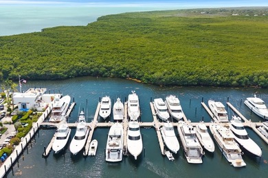D27 is a premier Dockominium located in the world class Marina - photo 13