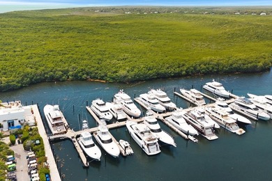 D27 is a premier Dockominium located in the world class Marina - photo 14