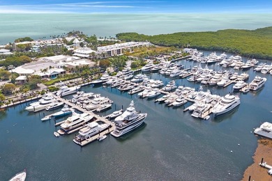 D27 is a premier Dockominium located in the world class Marina - photo 15