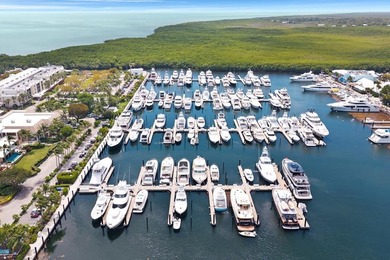 D27 is a premier Dockominium located in the world class Marina - photo 16