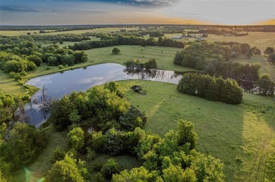 (private lake, pond, creek) Acreage For Sale in Bonham Texas