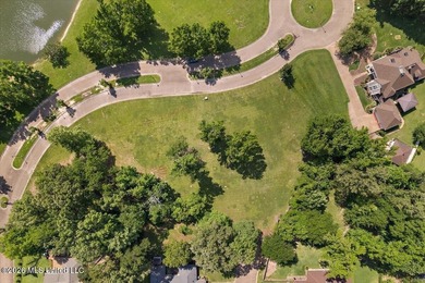 Rare opportunity to own one or all three exceptional homesites - photo 6