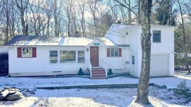 Lake Home For Sale in Dingmans Ferry, Pennsylvania