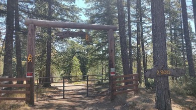 (private lake, pond, creek) Home For Sale in Hiouchi California