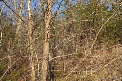 Gemini said PRISTINE LAKEFRONT LOT ON PRIVATE POCAHONTAS LAKE! - photo 14