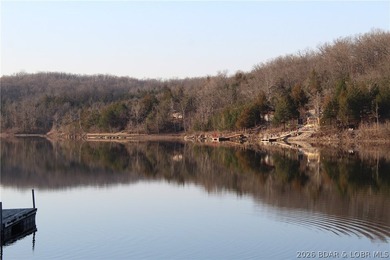 Gemini said PRISTINE LAKEFRONT LOT ON PRIVATE POCAHONTAS LAKE! - photo 16