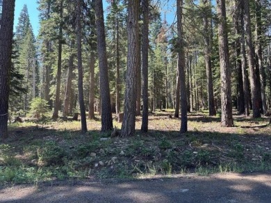 Lake Lot For Sale in Bucks Lake, California