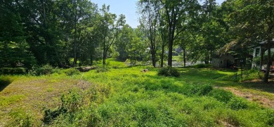 (private lake, pond, creek) Lot For Sale in Narrowsburg New York